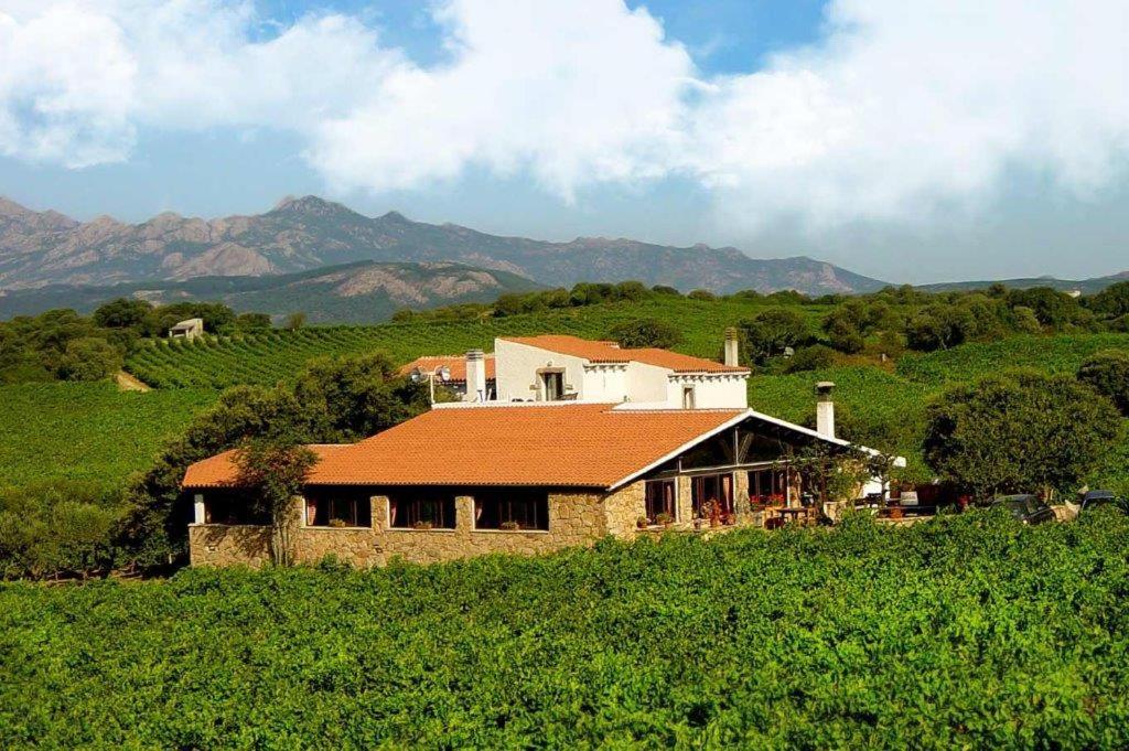 Agriturismo Vermentino Monti エクステリア 写真