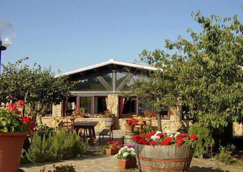 Agriturismo Vermentino Monti エクステリア 写真