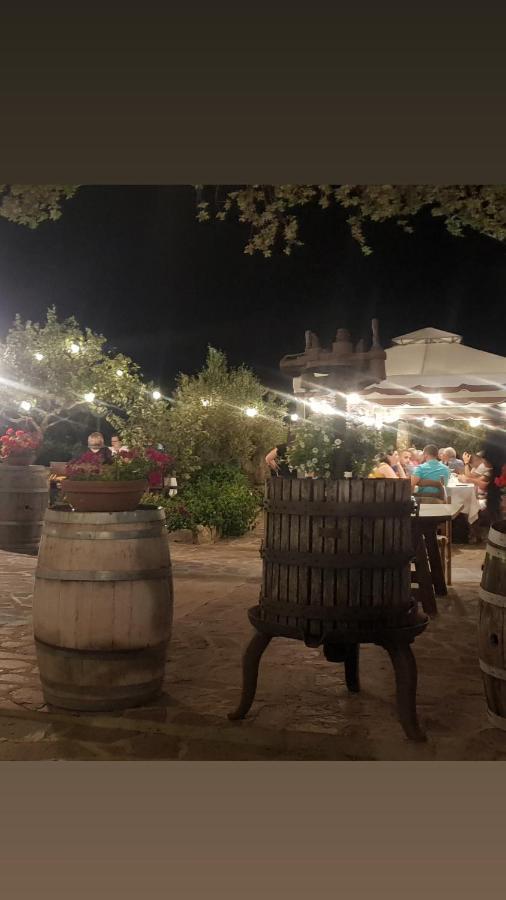 Agriturismo Vermentino Monti エクステリア 写真