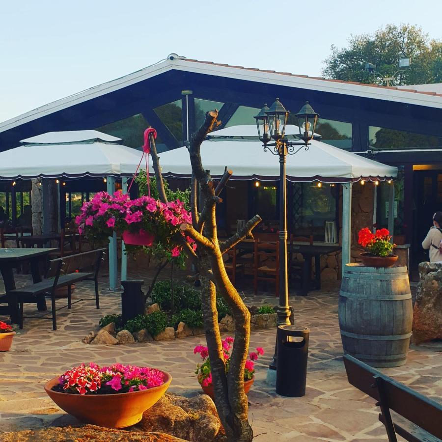 Agriturismo Vermentino Monti エクステリア 写真