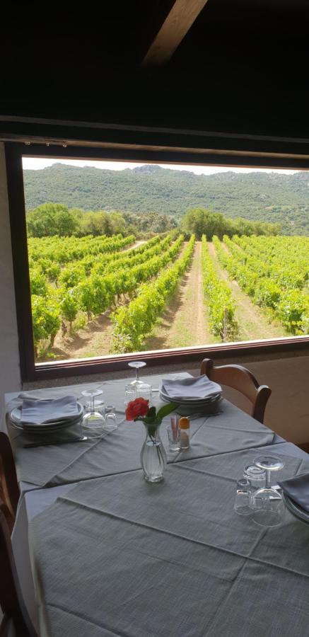 Agriturismo Vermentino Monti エクステリア 写真