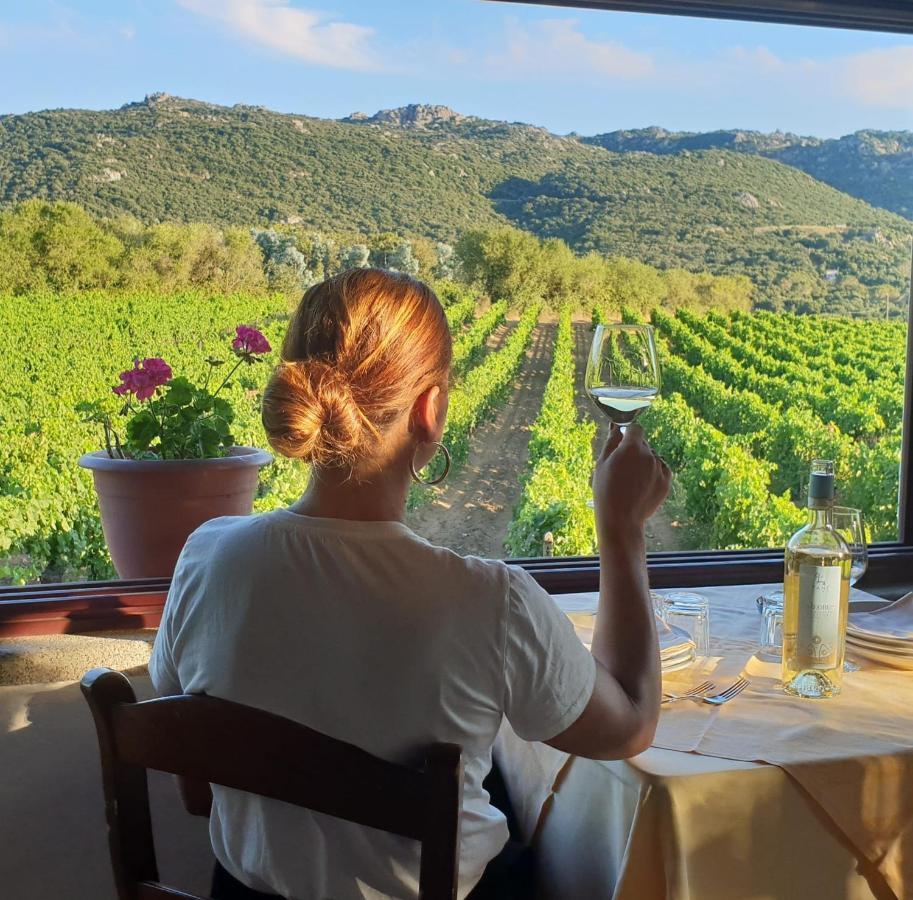 Agriturismo Vermentino Monti エクステリア 写真