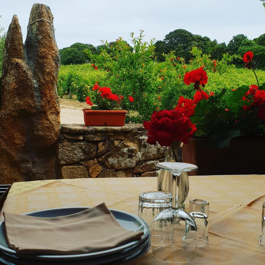 Agriturismo Vermentino Monti エクステリア 写真
