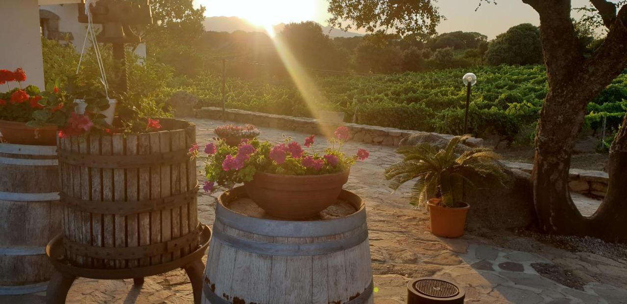 Agriturismo Vermentino Monti エクステリア 写真