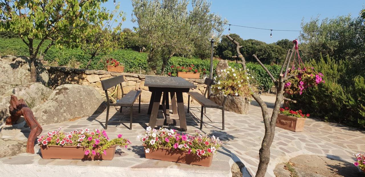 Agriturismo Vermentino Monti エクステリア 写真