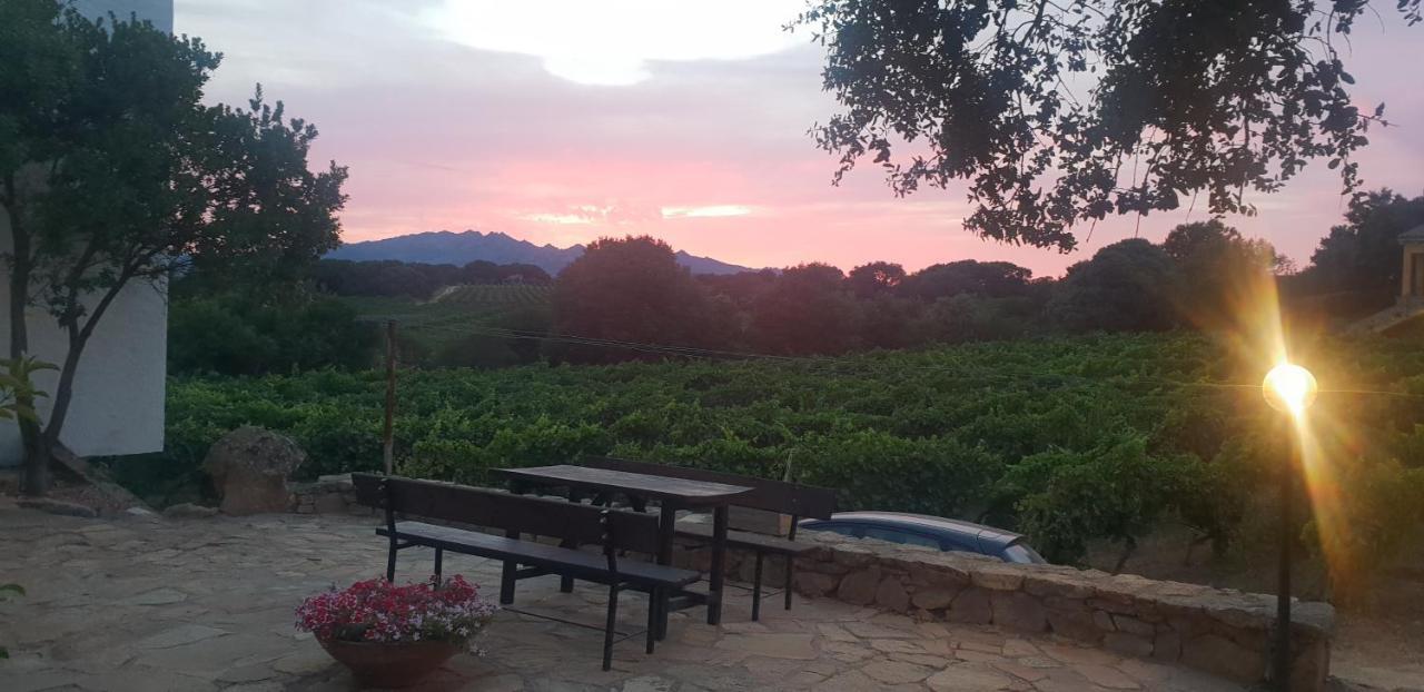 Agriturismo Vermentino Monti エクステリア 写真
