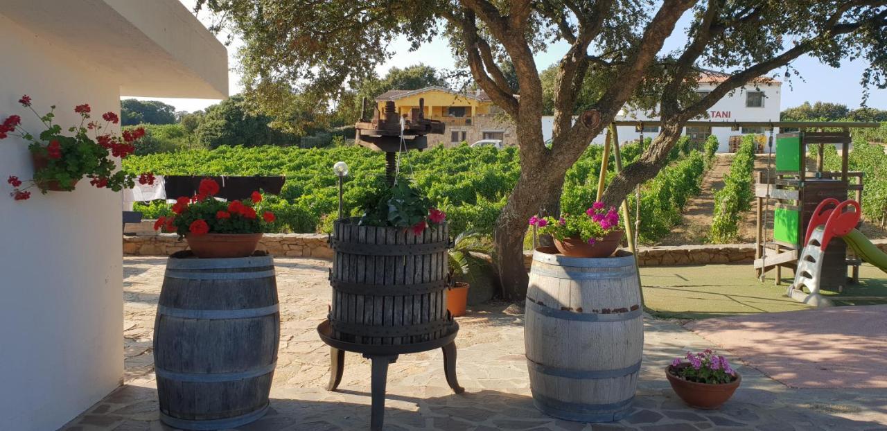 Agriturismo Vermentino Monti エクステリア 写真