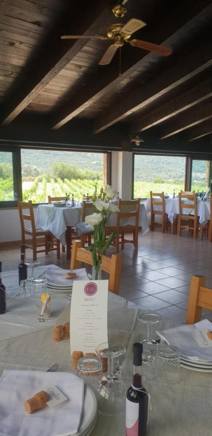 Agriturismo Vermentino Monti エクステリア 写真