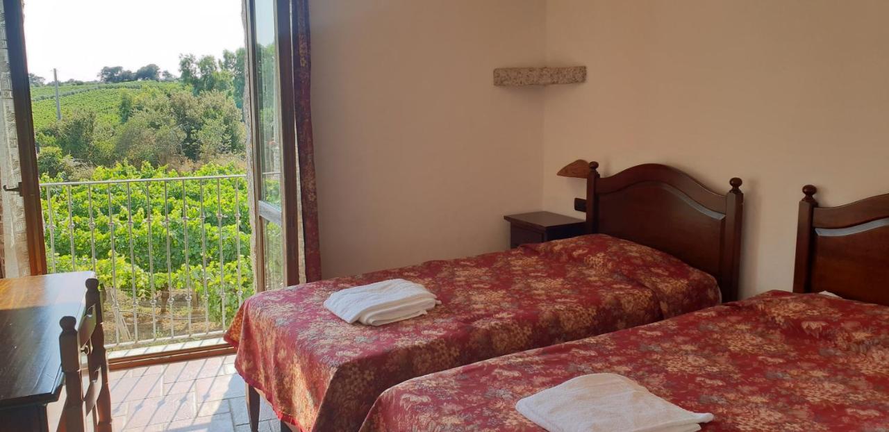 Agriturismo Vermentino Monti エクステリア 写真