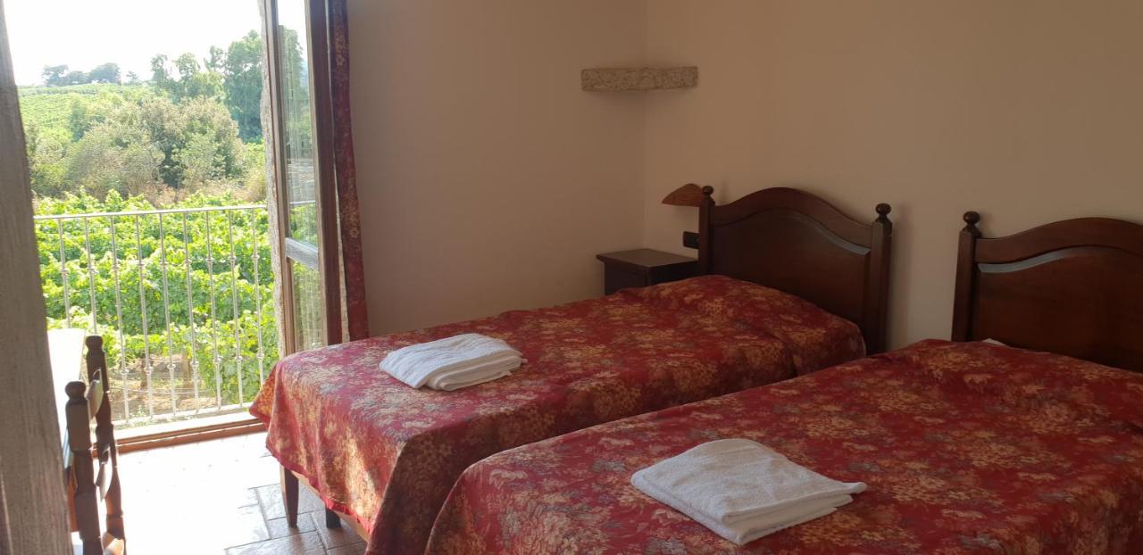 Agriturismo Vermentino Monti エクステリア 写真
